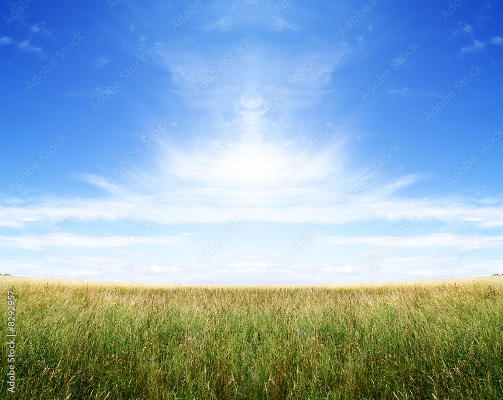 Wollken über das Feld Wollken über das Feld