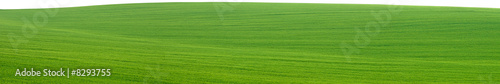 Green field panorama cutout