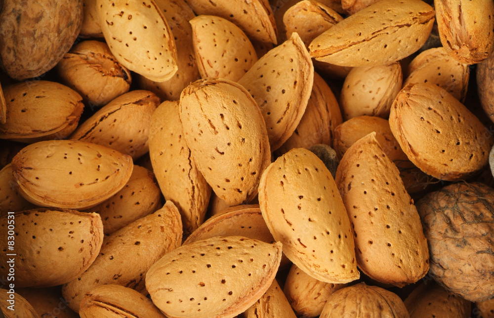 A pile of almond nuts. macro A pile of almond nuts. macro