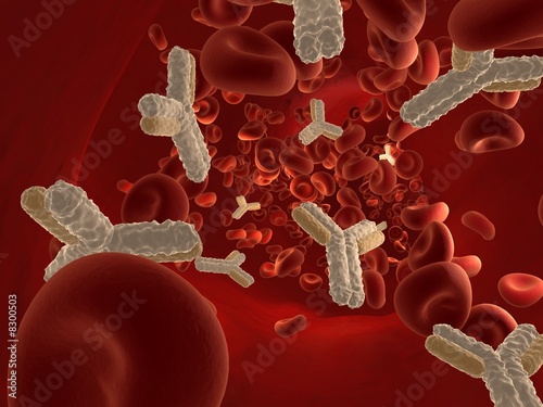fließendes blut mit antikörpern photo