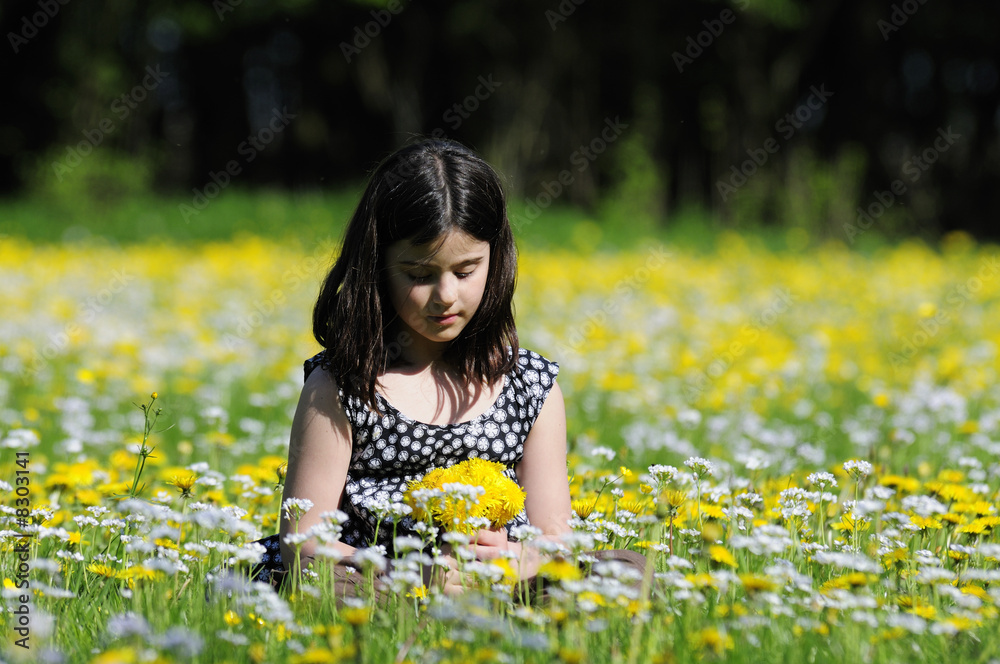 Fototapeta premium Printemps en Pays-Bas