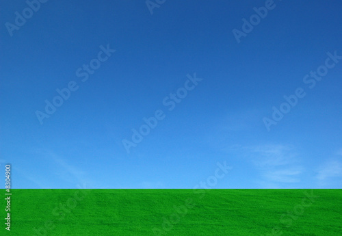 Fototapeta Naklejka Na Ścianę i Meble -  Field With Blue Sky
