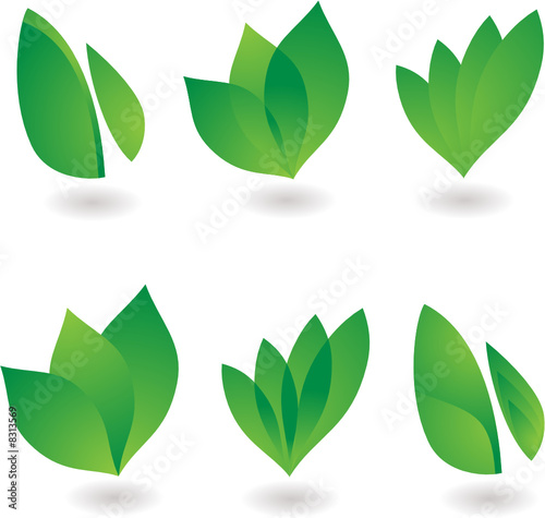 leaf icon
