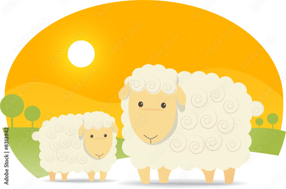 Obraz premium Cute Sheep