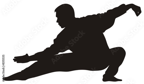 Martial art photo