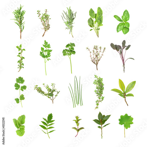 Fresh Herb Selection