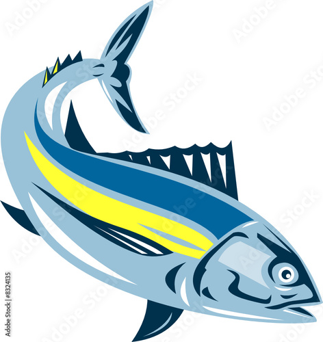 Albacore tuna fish