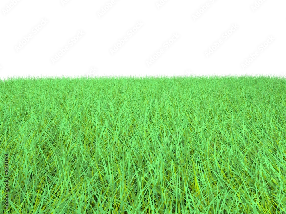 Obraz premium grass