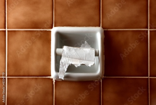 toilet paper photo