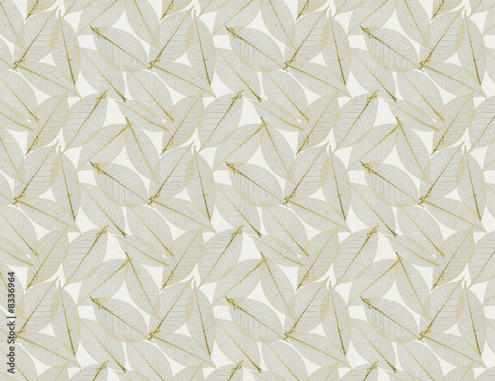 Lace Leafs Background Lace Leafs Background