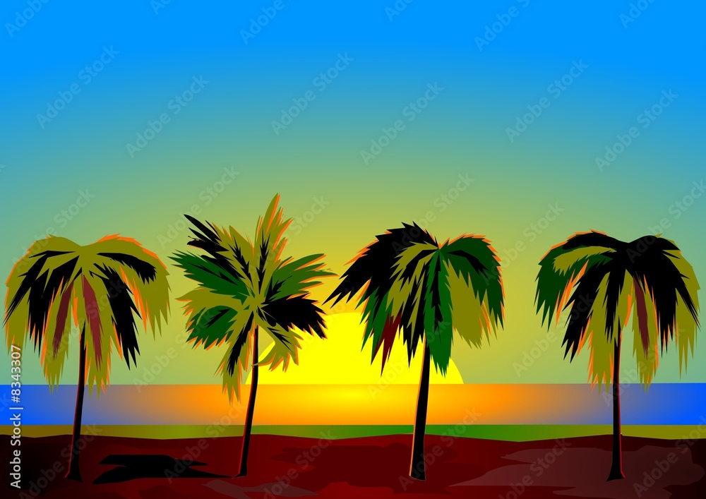 Four palms  at dawn
