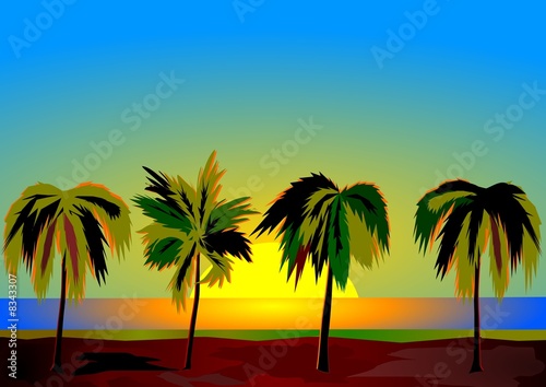 Four palms  at dawn © Jitka Svetnickova