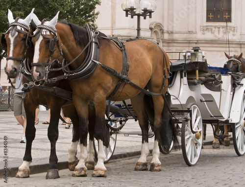 Horses and carriage in Prague © Provisualstock.com