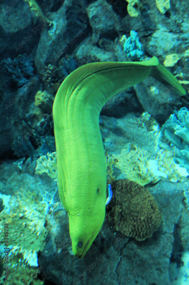 Moräne StockFoto Adobe Stock