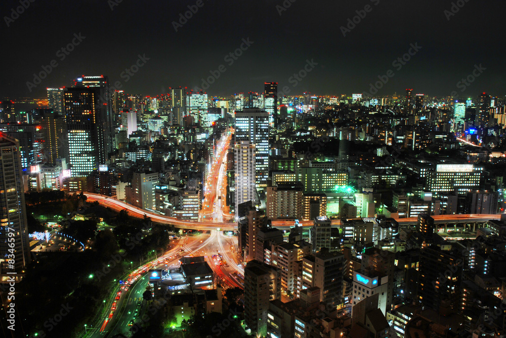 Fototapeta premium Tokyo