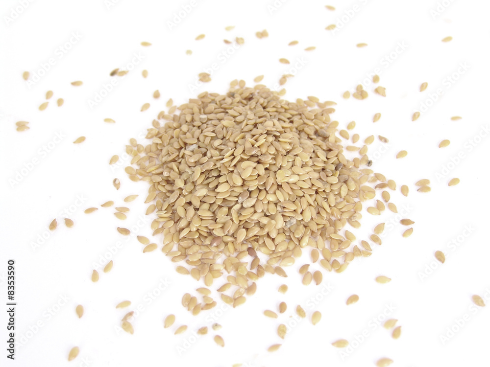 flax seeds flax seeds