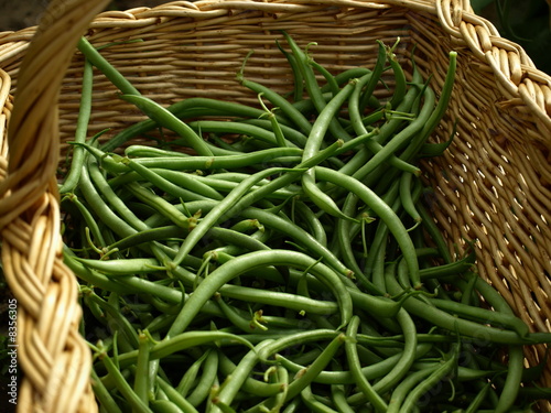Photos panier d' haricots  verts