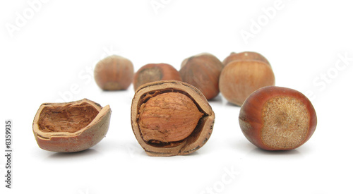 Hazelnut broken and hazelnuts isolated on white background
