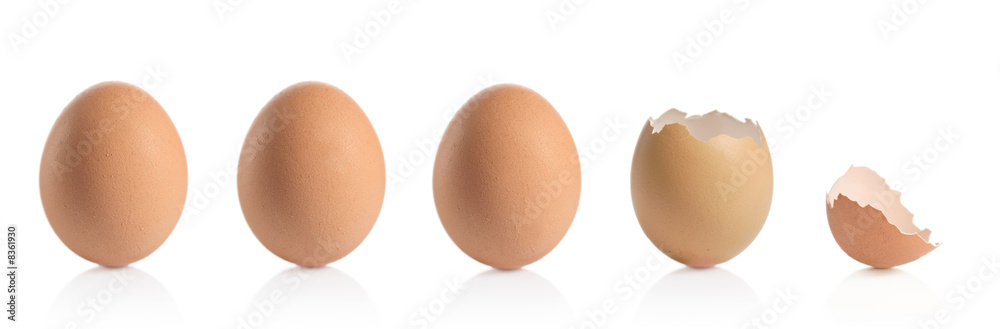 Eggshells isolated against white background Eggshells isolated against white background