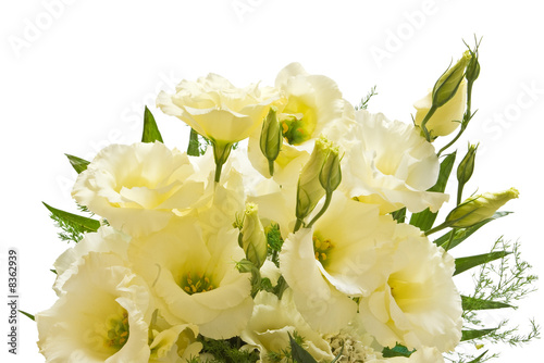 lisianthus flowers