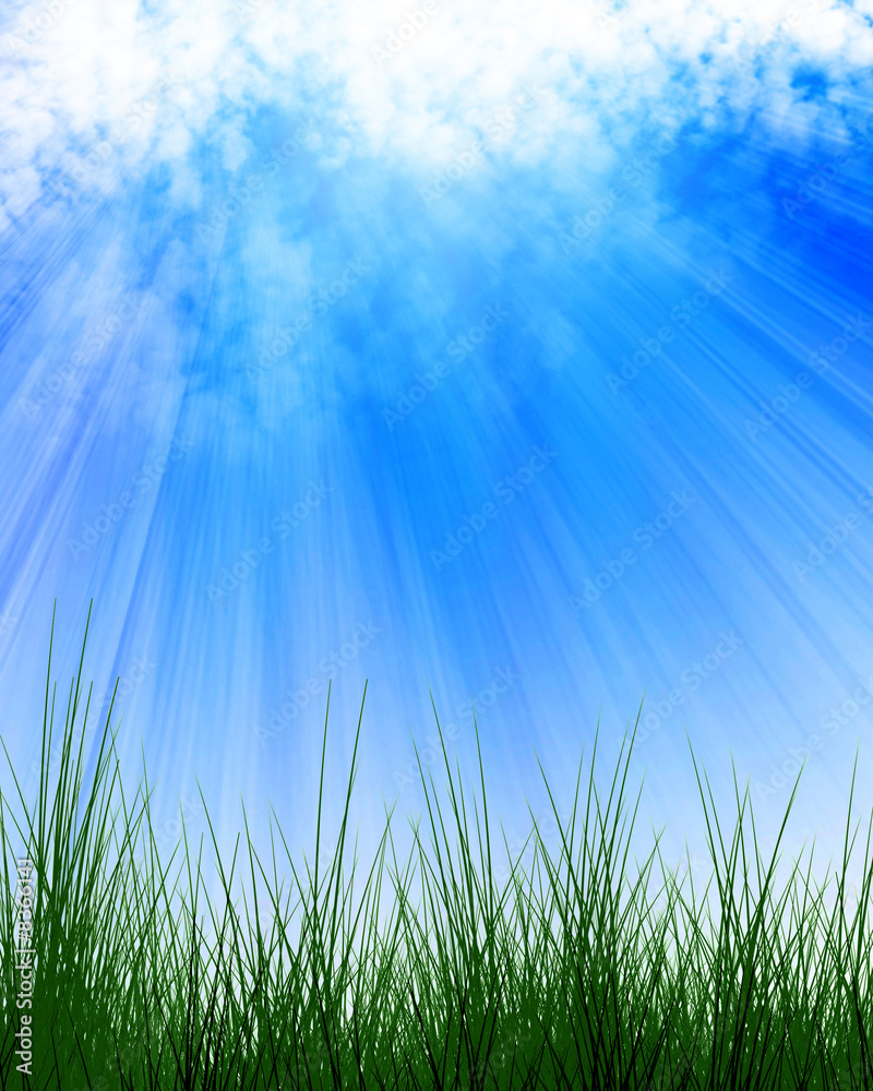 green grass