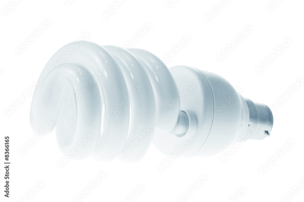 Compact Fluorescent Light Bulb Compact Fluorescent Light Bulb