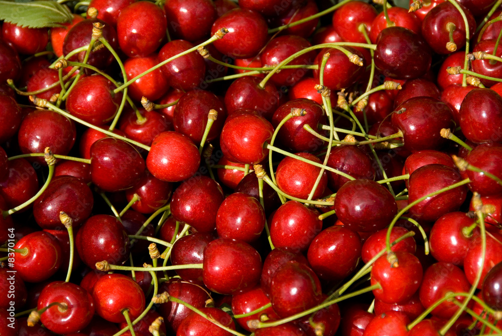 cherry cherry
