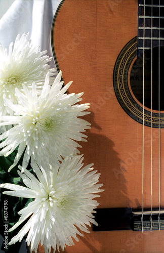 Guitar with three chrysanthemums photo