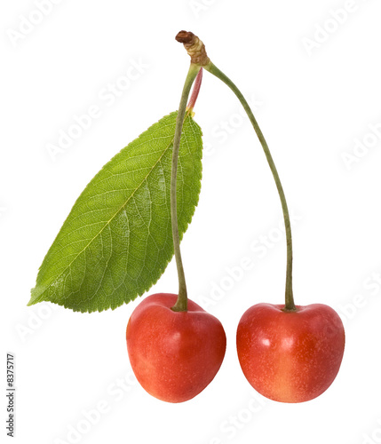 Wallpaper Mural red cherry with leaf on the white background Torontodigital.ca