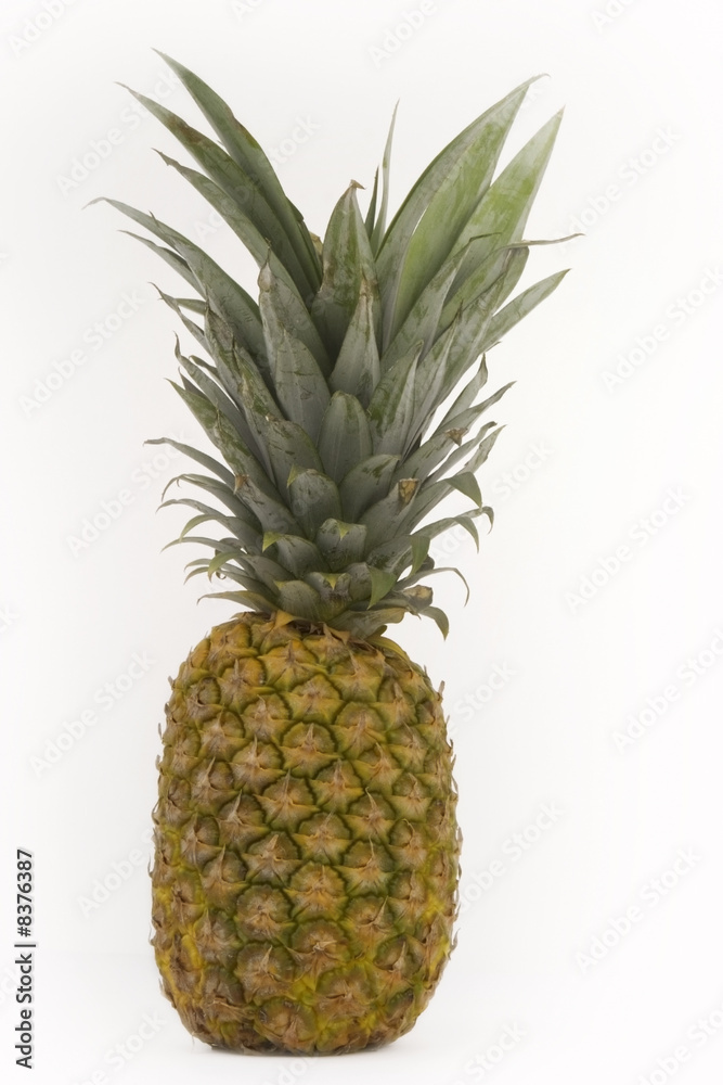 pineapple