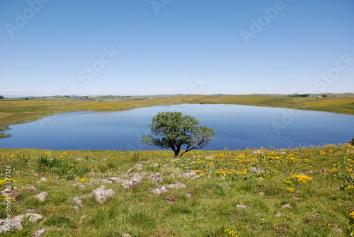 Aubrac, lac St Andéol 6