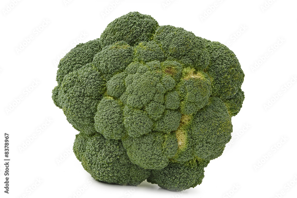 broccoli isoliert broccoli isoliert
