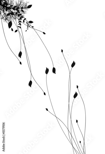 Black and whie flowers