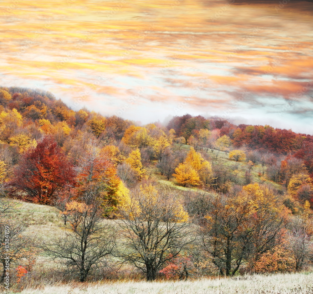 Fototapeta premium Autumn