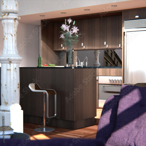 Classic New-York Loft (kitchen detail)