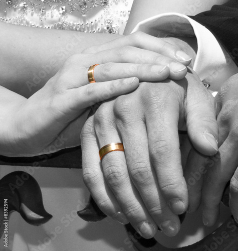 Hochzeit - Hände - Eheringe