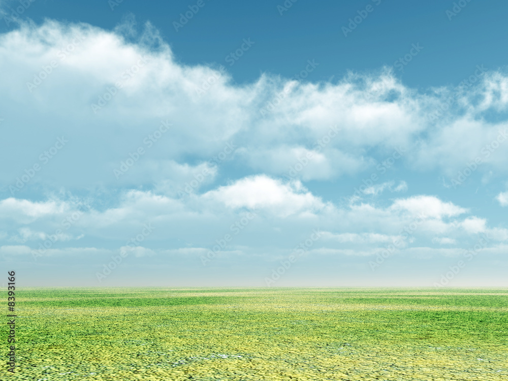 Summer scenery