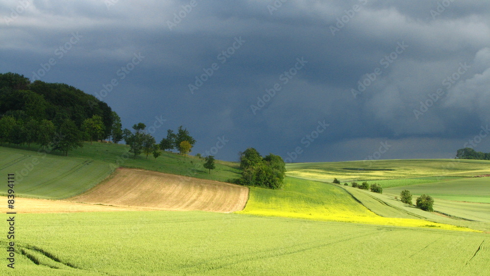 Fototapeta premium ciel de plomb sur la campagne