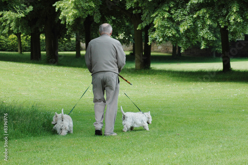 Walking man and two dogs.
