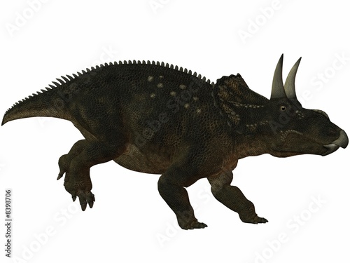Diceratops-3D Dinosaurier © Andreas Meyer