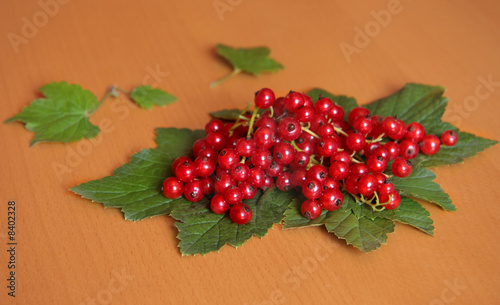 Redcurrant on leaves and wooden background