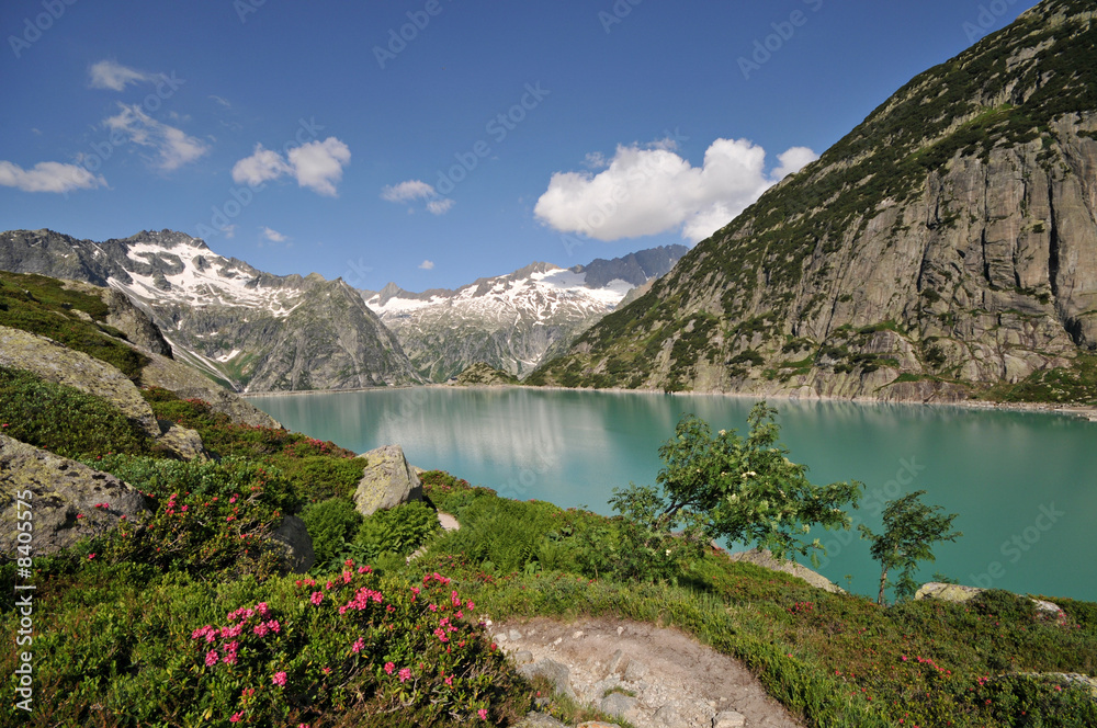 Lac Suisse