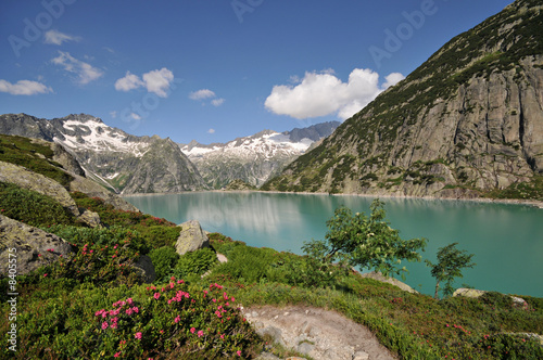 Fototapeta Naklejka Na Ścianę i Meble -  Lac Suisse