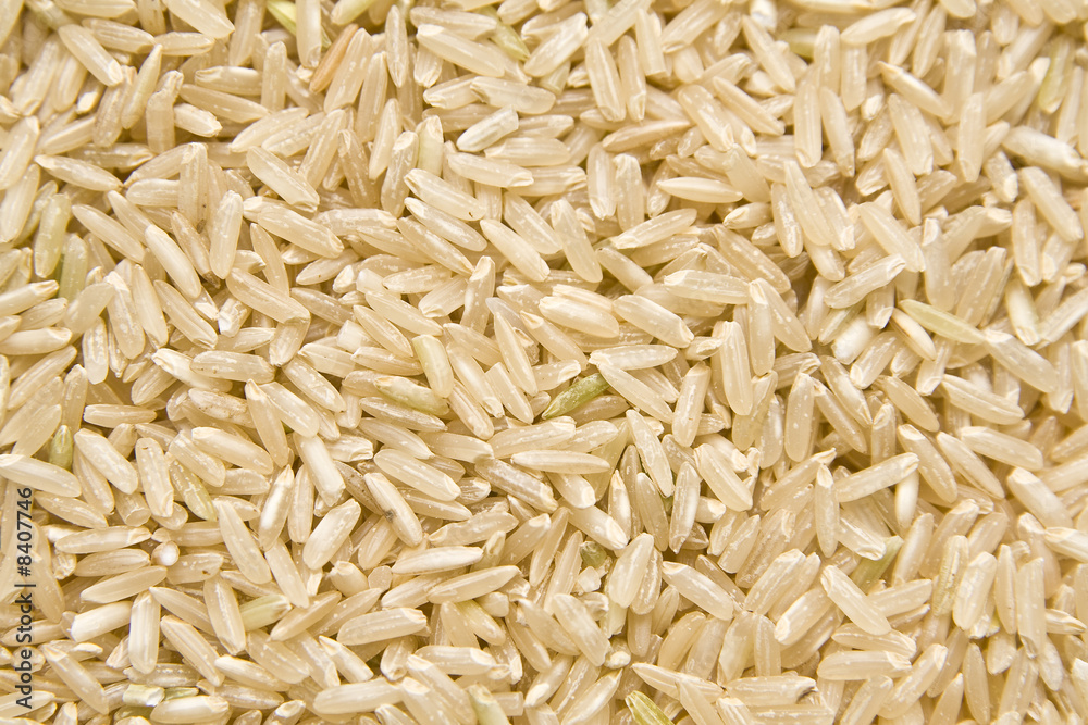 Rice Rice