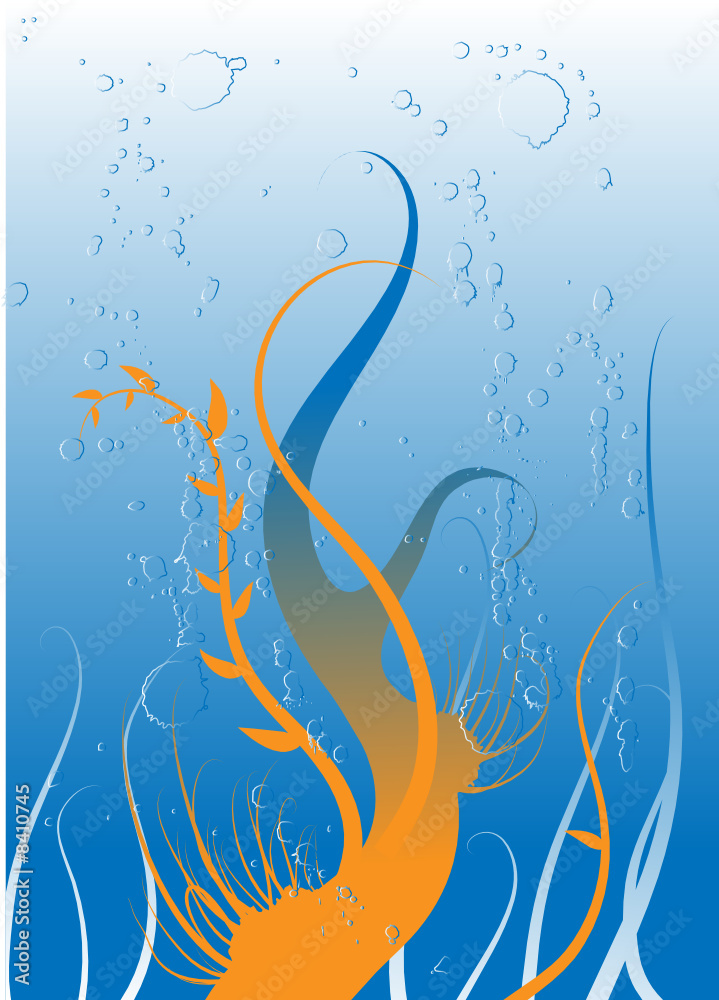Fototapeta premium underwater