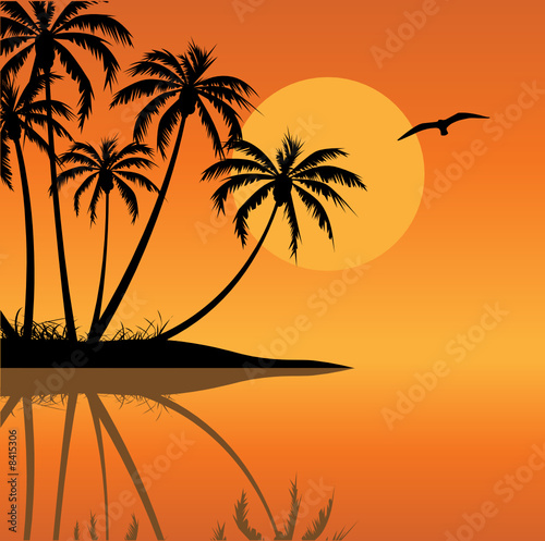Tropical Landscape