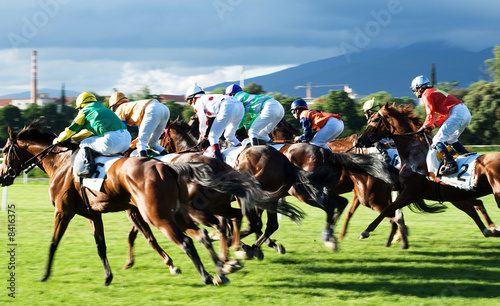 Billede på lærred The Race