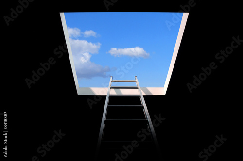 ladder to the sky