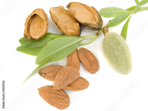 Young almond