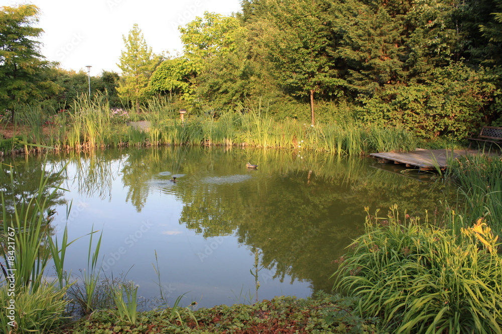 kleiner Teich kleiner Teich